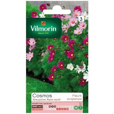 VILMORIN Sachet Graines Cosmos Sensation Nain - Publicité VILMORIN Sachet Graines Cosmos Sensation Nain - Publicité