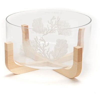 Amadeus - Coralie - Transparent - 24x27.69 cm - Saladier - Publicité Amadeus - Coralie - Transparent - 24x27.69 cm - Saladier - Publicité