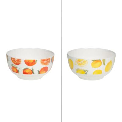 Table Passion Bol Zesta 48 cl (lot de 2) - Publicité Table Passion Bol Zesta 48 cl (lot de 2) - Publicité