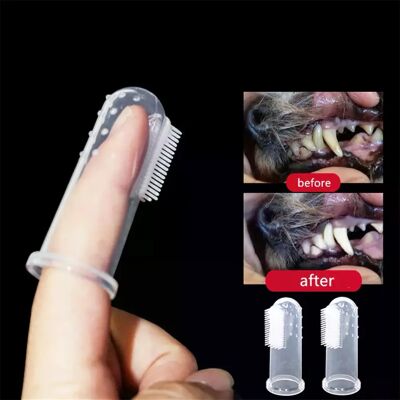 General Brosse à dents super douce pour animaux de compagnie, brosse pour chien en peluche, outil de nettoyage des dents pour chien et chat, anti-tartre et anti-mauvaise haleine, fournitures pour animaux de compagnie~01821 - Publicité General Brosse à dents super douce pour animaux de compagnie, brosse pour chien en peluche, outil de nettoyage des dents pour chien et chat, anti-tartre et anti-mauvaise haleine, fournitures pour animaux de compagnie~01821 - Publicité