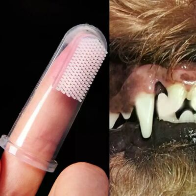 General Brosse à dents pour chien, brosse à dents pour animaux de compagnie, jouets pour chiens, protection de l'environnement, silicone, nettoyage des dents, fournitures pour animaux de compagnie~02767 - Publicité General Brosse à dents pour chien, brosse à dents pour animaux de compagnie, jouets pour chiens, protection de l'environnement, silicone, nettoyage des dents, fournitures pour animaux de compagnie~02767 - Publicité