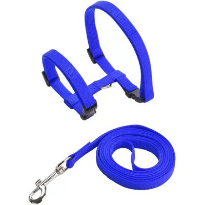 General Ensemble harnais et laisse pour chat et animal de compagnie, harnais réglable anti-fuite pour chatons de grande taille et petits chats, collier léger et doux pour chiots, pour chien ou chat~01393 - Publicité General Ensemble harnais et laisse pour chat et animal de compagnie, harnais réglable anti-fuite pour chatons de grande taille et petits chats, collier léger et doux pour chiots, pour chien ou chat~01393 - Publicité