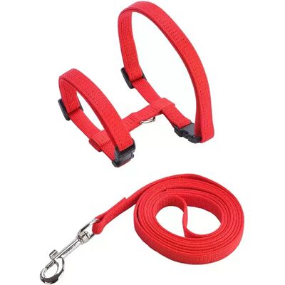 General Ensemble harnais et laisse pour chat et animal de compagnie, harnais réglable anti-fuite pour chatons de grande taille et petits chats, collier léger et doux pour chiots, pour chien ou chat~01392 - Publicité General Ensemble harnais et laisse pour chat et animal de compagnie, harnais réglable anti-fuite pour chatons de grande taille et petits chats, collier léger et doux pour chiots, pour chien ou chat~01392 - Publicité