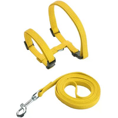 General Ensemble harnais et laisse pour chat et animal de compagnie, harnais réglable anti-fuite pour chatons de grande taille et petits chats, collier léger et doux pour chiots, pour chien ou chat~01394 - Publicité General Ensemble harnais et laisse pour chat et animal de compagnie, harnais réglable anti-fuite pour chatons de grande taille et petits chats, collier léger et doux pour chiots, pour chien ou chat~01394 - Publicité