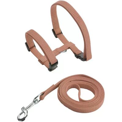 General Ensemble harnais et laisse pour chat et animal de compagnie, harnais réglable anti-fuite pour chatons de grande taille et petits chats, collier léger et doux pour chiots, pour chien ou chat~01397 - Publicité General Ensemble harnais et laisse pour chat et animal de compagnie, harnais réglable anti-fuite pour chatons de grande taille et petits chats, collier léger et doux pour chiots, pour chien ou chat~01397 - Publicité