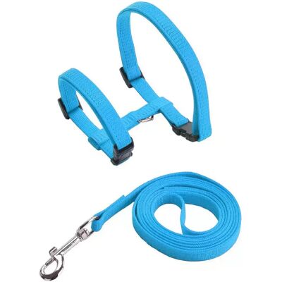 General Ensemble harnais et laisse pour chat et animal de compagnie, harnais réglable anti-fuite pour chatons de grande taille et petits chats, collier léger et doux pour chiots, pour chien ou chat~01389 - Publicité General Ensemble harnais et laisse pour chat et animal de compagnie, harnais réglable anti-fuite pour chatons de grande taille et petits chats, collier léger et doux pour chiots, pour chien ou chat~01389 - Publicité