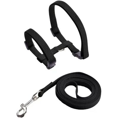 General Ensemble harnais et laisse pour chat et animal de compagnie, harnais réglable anti-fuite pour chatons de grande taille et petits chats, collier léger et doux pour chiots, pour chien ou chat~01390 - Publicité General Ensemble harnais et laisse pour chat et animal de compagnie, harnais réglable anti-fuite pour chatons de grande taille et petits chats, collier léger et doux pour chiots, pour chien ou chat~01390 - Publicité