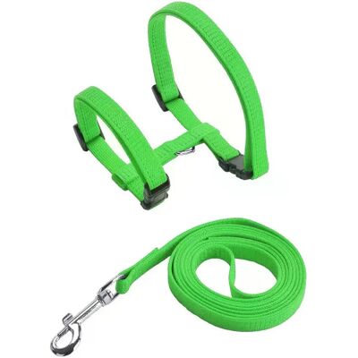 General Ensemble harnais et laisse pour chat et animal de compagnie, harnais réglable anti-fuite pour chatons de grande taille et petits chats, collier léger et doux pour chiots, pour chien ou chat~01391 - Publicité General Ensemble harnais et laisse pour chat et animal de compagnie, harnais réglable anti-fuite pour chatons de grande taille et petits chats, collier léger et doux pour chiots, pour chien ou chat~01391 - Publicité