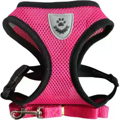 General Harnais anti-fuite pour chat, collier pour chat, tente pour animaux de compagnie, collier pour chien, collier pour chat, laisse pour chat Antiescape Cat Arnet~01133 - Publicité General Harnais anti-fuite pour chat, collier pour chat, tente pour animaux de compagnie, collier pour chien, collier pour chat, laisse pour chat Antiescape Cat Arnet~01133 - Publicité