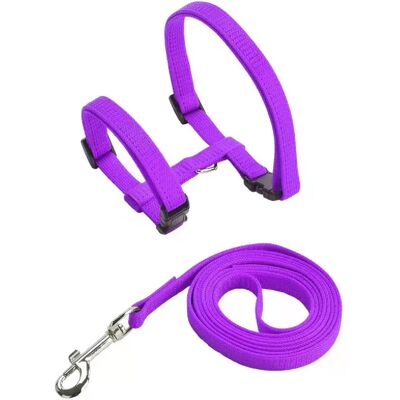 General Ensemble harnais et laisse pour chat et animal de compagnie, harnais réglable anti-fuite pour chatons de grande taille et petits chats, collier léger et doux pour chiots, pour chien ou chat~00854 - Publicité General Ensemble harnais et laisse pour chat et animal de compagnie, harnais réglable anti-fuite pour chatons de grande taille et petits chats, collier léger et doux pour chiots, pour chien ou chat~00854 - Publicité