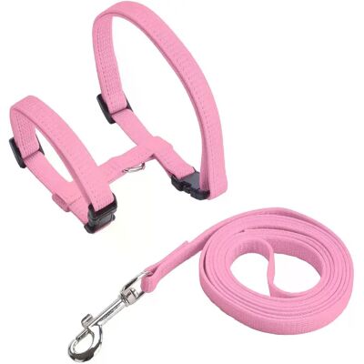 General Ensemble harnais et laisse pour chat et animal de compagnie, harnais réglable anti-fuite pour chatons de grande taille et petits chats, collier léger et doux pour chiots, pour chien ou chat~01395 - Publicité General Ensemble harnais et laisse pour chat et animal de compagnie, harnais réglable anti-fuite pour chatons de grande taille et petits chats, collier léger et doux pour chiots, pour chien ou chat~01395 - Publicité
