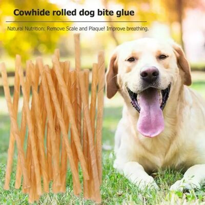 General Lot de 10 bâtonnets à mâcher en cuir de vache pour nettoyage des dents, jouets de sécurité pour animaux de compagnie, friandises pour chat, chien, chiot, accessoires pour chiens~03112 - Publicité General Lot de 10 bâtonnets à mâcher en cuir de vache pour nettoyage des dents, jouets de sécurité pour animaux de compagnie, friandises pour chat, chien, chiot, accessoires pour chiens~03112 - Publicité
