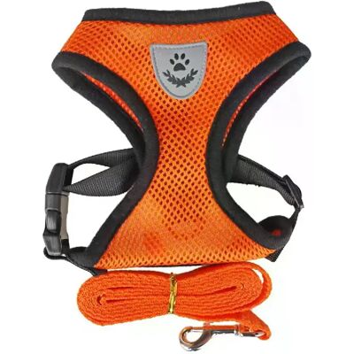 General Harnais anti-fuite pour chat, collier pour chat, tente pour animaux de compagnie, collier pour chien, collier pour chat, laisse pour chat Antiescape Cat Arnet~01136 - Publicité General Harnais anti-fuite pour chat, collier pour chat, tente pour animaux de compagnie, collier pour chien, collier pour chat, laisse pour chat Antiescape Cat Arnet~01136 - Publicité