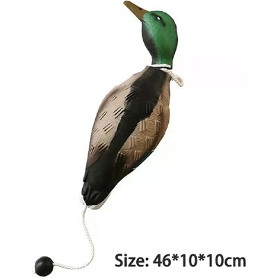 General Jouets pour chiens imitant les canards morts, jouets pare-chocs pour l'entraînement des chiots, chiens de chasse, enseigne aux colverts et aux oiseaux aquatiques, télécharger un jeu interactif~07801 - Publicité General Jouets pour chiens imitant les canards morts, jouets pare-chocs pour l'entraînement des chiots, chiens de chasse, enseigne aux colverts et aux oiseaux aquatiques, télécharger un jeu interactif~07801 - Publicité