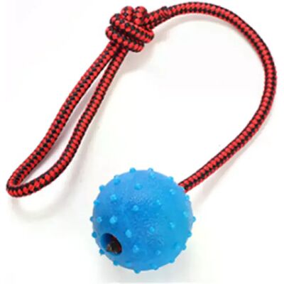 General Balle à mâcher à ultrasons pour chien, jouet d'entraînement pour le nettoyage des dents, balle à mâcher pour chiot, jeux pour animaux de compagnie, jouet à mâcher en caoutchouc avec poignée en corde~07839 - Publicité General Balle à mâcher à ultrasons pour chien, jouet d'entraînement pour le nettoyage des dents, balle à mâcher pour chiot, jeux pour animaux de compagnie, jouet à mâcher en caoutchouc avec poignée en corde~07839 - Publicité