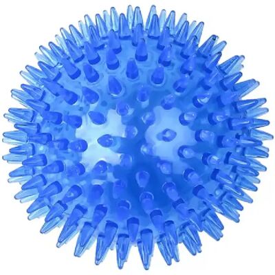 General Balles à mâcher pour dents de chien, balle en caoutchouc souple TPR pour animaux de compagnie, jouet interactif à mâcher pour morsure de chien, entraînement en extérieur~04750 - Publicité General Balles à mâcher pour dents de chien, balle en caoutchouc souple TPR pour animaux de compagnie, jouet interactif à mâcher pour morsure de chien, entraînement en extérieur~04750 - Publicité