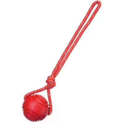 General Balle à mâcher pour chien, jouet d'entraînement pour le nettoyage des dents, balle à mâcher pour chiot, jeux d'entraînement pour animaux de compagnie, jouet à mâcher en caoutchouc avec poignée en corde~06629 - Publicité General Balle à mâcher pour chien, jouet d'entraînement pour le nettoyage des dents, balle à mâcher pour chiot, jeux d'entraînement pour animaux de compagnie, jouet à mâcher en caoutchouc avec poignée en corde~06629 - Publicité