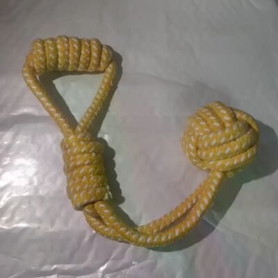General MZHQ 1 corde tressée en coton de couleur unie pour dressage des molaires du Labrador, résistante aux morsures, nettoyage des dents, jouet pour chien, balle, fournitures pour chiens~04309 - Publicité General MZHQ 1 corde tressée en coton de couleur unie pour dressage des molaires du Labrador, résistante aux morsures, nettoyage des dents, jouet pour chien, balle, fournitures pour chiens~04309 - Publicité