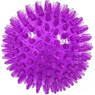 General Balles à mâcher pour dents de chien, balle en caoutchouc souple TPR pour animaux de compagnie, jouet interactif à mâcher pour morsure de chien, entraînement en extérieur~04747 - Publicité General Balles à mâcher pour dents de chien, balle en caoutchouc souple TPR pour animaux de compagnie, jouet interactif à mâcher pour morsure de chien, entraînement en extérieur~04747 - Publicité