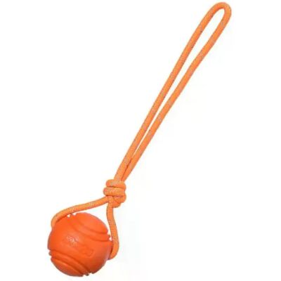 General Balle à mâcher pour chien, jouet d'entraînement pour le nettoyage des dents, balle à mâcher pour chiot, jeux d'entraînement pour animaux de compagnie, jouet à mâcher en caoutchouc avec poignée en corde~06420 - Publicité General Balle à mâcher pour chien, jouet d'entraînement pour le nettoyage des dents, balle à mâcher pour chiot, jeux d'entraînement pour animaux de compagnie, jouet à mâcher en caoutchouc avec poignée en corde~06420 - Publicité