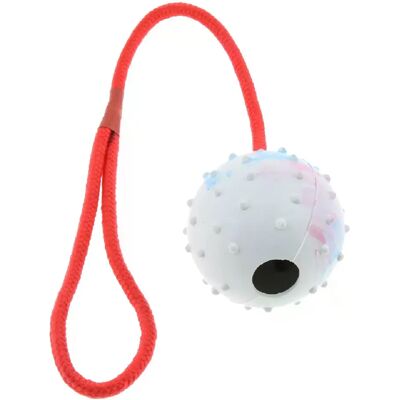 General Balle à mâcher en corde de coton durable pour chien et chiot, balles en caoutchouc interactives pour chien, jouets pour rapporter et jouer, fournitures de nettoyage des dents pour animaux de compagnie~07824 - Publicité General Balle à mâcher en corde de coton durable pour chien et chiot, balles en caoutchouc interactives pour chien, jouets pour rapporter et jouer, fournitures de nettoyage des dents pour animaux de compagnie~07824 - Publicité
