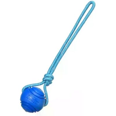 General Balle à mâcher pour chien, jouet d'entraînement pour le nettoyage des dents, balle à mâcher pour chiot, jeux d'entraînement pour animaux de compagnie, jouet à mâcher en caoutchouc avec poignée en corde~06631 - Publicité General Balle à mâcher pour chien, jouet d'entraînement pour le nettoyage des dents, balle à mâcher pour chiot, jeux d'entraînement pour animaux de compagnie, jouet à mâcher en caoutchouc avec poignée en corde~06631 - Publicité