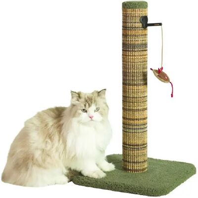 Zolux Griffoir en sisal Boréal - 60 cm - Vert - Publicité Zolux Griffoir en sisal Boréal - 60 cm - Vert - Publicité