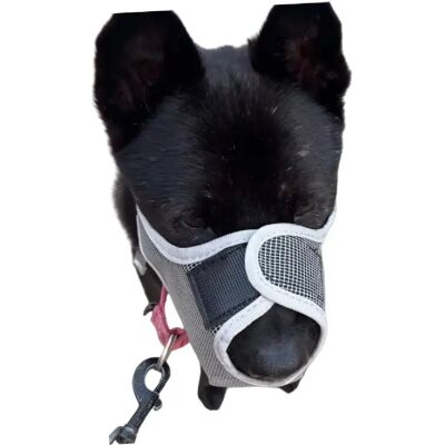 INF Muselière Anti-Ingestion : Muselière Respirante en Maille pour Chien, pour Sécurité et Édu - Publicité INF Muselière Anti-Ingestion : Muselière Respirante en Maille pour Chien, pour Sécurité et Édu - Publicité