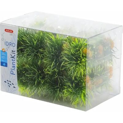 Ensemble de Petites Plantes Zolux IDRO 24 pcs. - Décoration Aquarium - Publicité Ensemble de Petites Plantes Zolux IDRO 24 pcs. - Décoration Aquarium - Publicité
