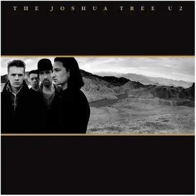 Island The Joshua Tree - Publicité Island The Joshua Tree - Publicité