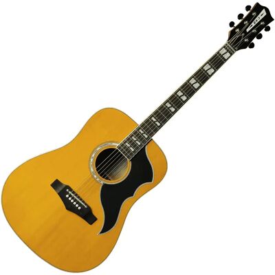 Eko Guitare électroacoustique Ranger Vintage Reissue VI - Publicité Eko Guitare électroacoustique Ranger Vintage Reissue VI - Publicité