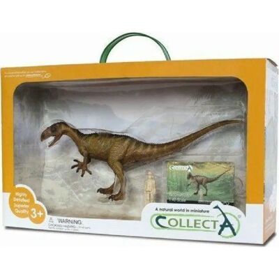 Collecta Neovenator Deluxe - Figurine de Dinosaure en Boîte Fenêtre - Publicité Collecta Neovenator Deluxe - Figurine de Dinosaure en Boîte Fenêtre - Publicité