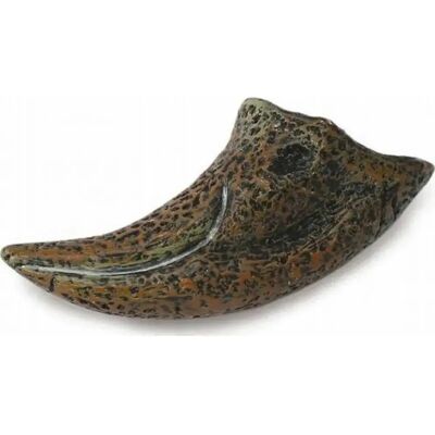 CollectA FIRST TOE Reproduction de pièces fossiles de T Rex - Jouet éducatif 3+ ans - Publicité CollectA FIRST TOE Reproduction de pièces fossiles de T Rex - Jouet éducatif 3+ ans - Publicité