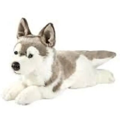 Anima peluche husky couché - Publicité Anima peluche husky couché - Publicité