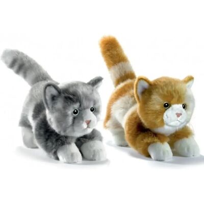 Anima peluche chaton roux - Publicité Anima peluche chaton roux - Publicité