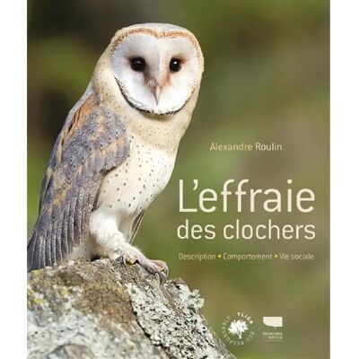 L'effraie des clochers : description, comportement, vie sociale - Publicité L'effraie des clochers : description, comportement, vie sociale - Publicité