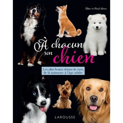 ***Livres*** A chacun son chien : les plus beaux chiens de race, de la naissance à l'âge adulte - Publicité ***Livres*** A chacun son chien : les plus beaux chiens de race, de la naissance à l'âge adulte - Publicité