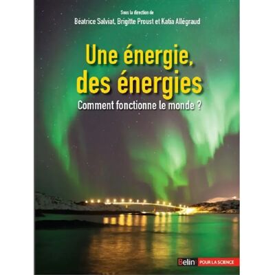 ***Livres*** Une énergie, des énergies : comment fonctionne le monde ? - Publicité ***Livres*** Une énergie, des énergies : comment fonctionne le monde ? - Publicité