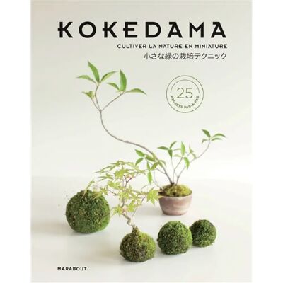 Kokedama : mini-bonsaïs & autres sculptures de mousse : comment cultiver la verdure en miniature ? - Publicité Kokedama : mini-bonsaïs & autres sculptures de mousse : comment cultiver la verdure en miniature ? - Publicité