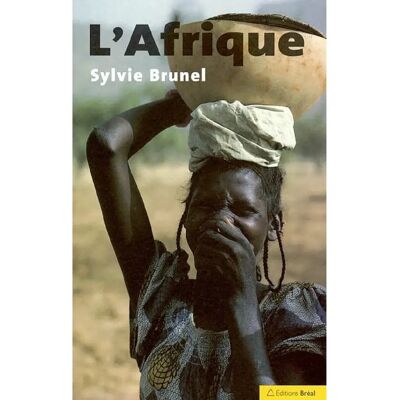 L'Afrique : un continent en réserve de développement - Publicité L'Afrique : un continent en réserve de développement - Publicité