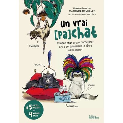 ***Livres*** Un vrai (pa)chat : chaque chat a son caractère : il y a certainement le vôtre à l'intérieur ! - Publicité ***Livres*** Un vrai (pa)chat : chaque chat a son caractère : il y a certainement le vôtre à l'intérieur ! - Publicité