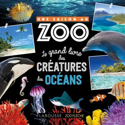 ***Livres*** Une saison au zoo : le grand livre des créatures des océans - Publicité ***Livres*** Une saison au zoo : le grand livre des créatures des océans - Publicité
