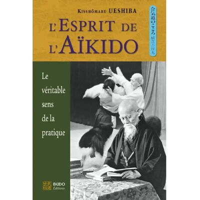 ***Livres*** L'esprit de l'aïkido : le véritable sens de la pratique - Publicité ***Livres*** L'esprit de l'aïkido : le véritable sens de la pratique - Publicité