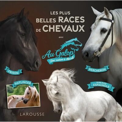 ***Livres*** Les plus belles races de chevaux avec Au galop ! Une saison à cheval - Publicité ***Livres*** Les plus belles races de chevaux avec Au galop ! Une saison à cheval - Publicité