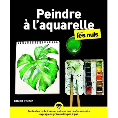 ***Livres*** Peindre à l'aquarelle pour les nuls - Publicité ***Livres*** Peindre à l'aquarelle pour les nuls - Publicité