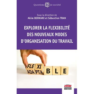 ***Livres*** Explorer la flexibilité des nouveaux modes d'organisation du travail - Publicité ***Livres*** Explorer la flexibilité des nouveaux modes d'organisation du travail - Publicité