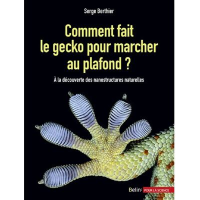 Comment fait le gecko pour marcher au plafond ? : à la découverte des nanostructures naturelles - Publicité Comment fait le gecko pour marcher au plafond ? : à la découverte des nanostructures naturelles - Publicité