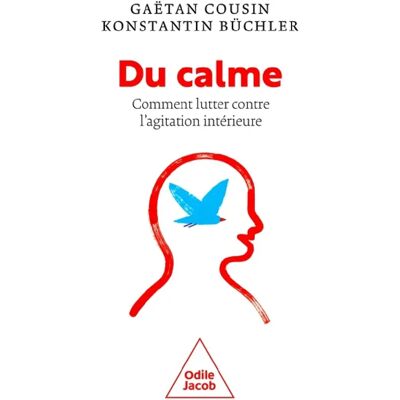 Du calme : comment lutter contre l'agitation intérieure - Publicité Du calme : comment lutter contre l'agitation intérieure - Publicité