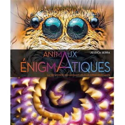 ***Livres*** Animaux énigmatiques : la vie secrète des animaux les plus impressionnants - Publicité ***Livres*** Animaux énigmatiques : la vie secrète des animaux les plus impressionnants - Publicité