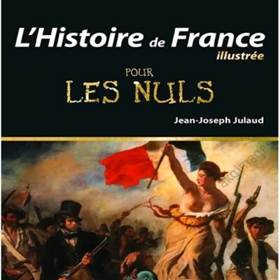 ***Livres*** L'histoire de France illustrée pour les nuls - Publicité ***Livres*** L'histoire de France illustrée pour les nuls - Publicité